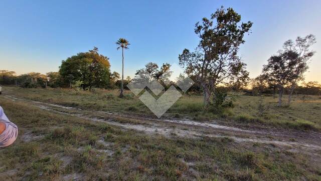 Fazenda no Município de Niquelândia - GO 4
