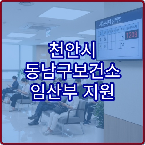 천안시 동남구보건소 임산부 지원 신청 방법 산모 혜택 정리