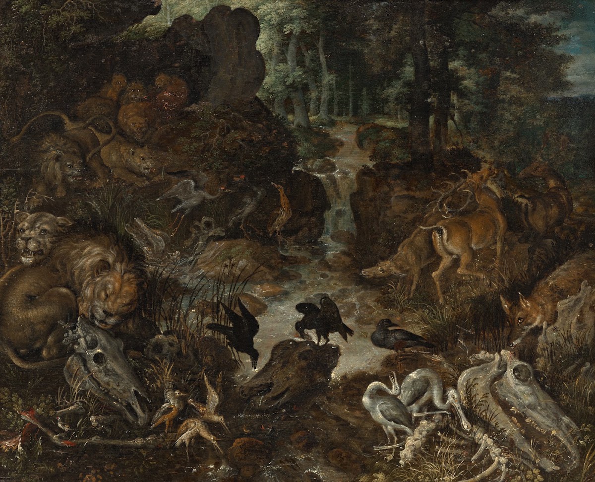 Lions and Fox in a Rugged Landscape 15761637