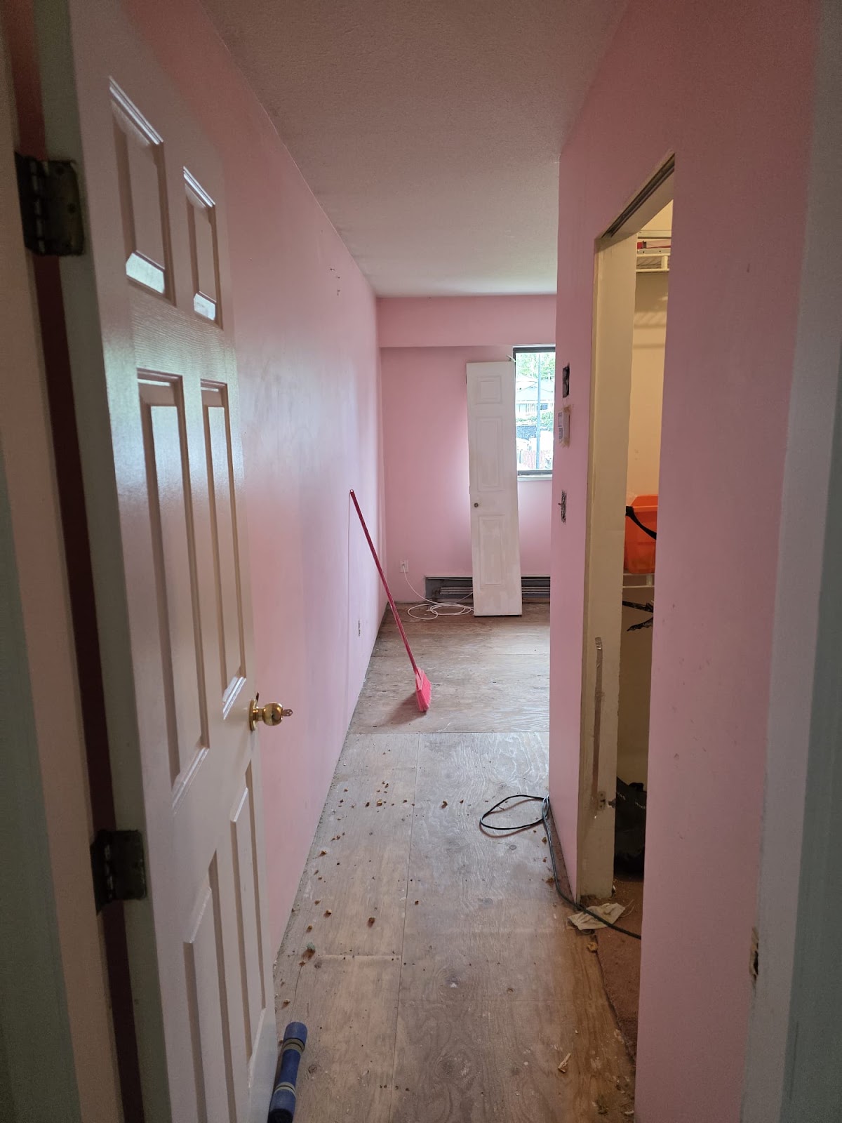 Freshly painted trim and door casings