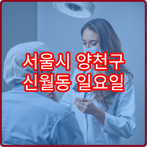 서울시 양천구 신월동 일요일 진료 가능한 산부인과 휴일 진료 정보 정리