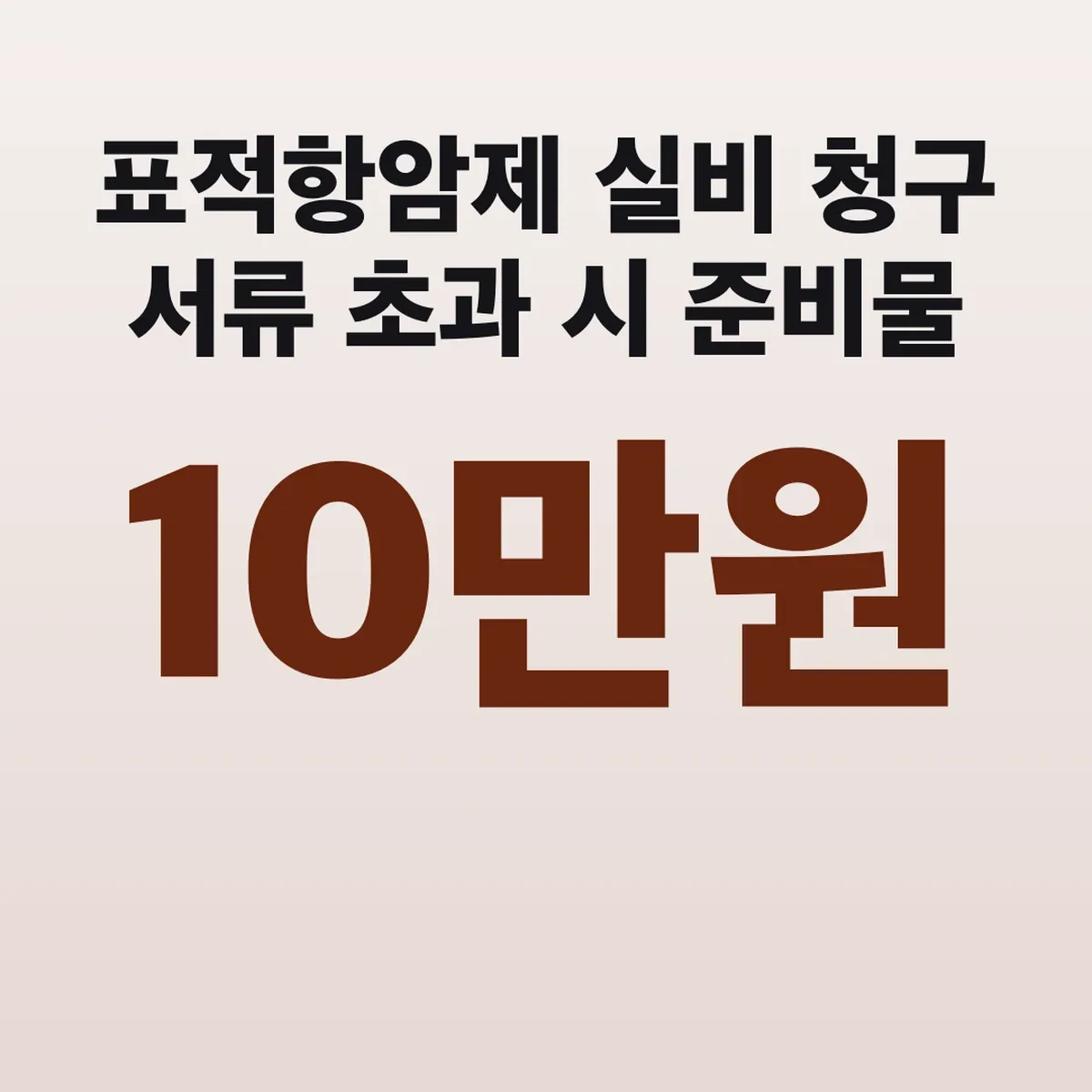 표적항암제 실비 청구 서류 10만원 초과 시 준비물