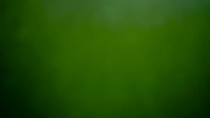 تفسير اللون الأخضر في الحلم للمتزوجة - مقالة كاتب