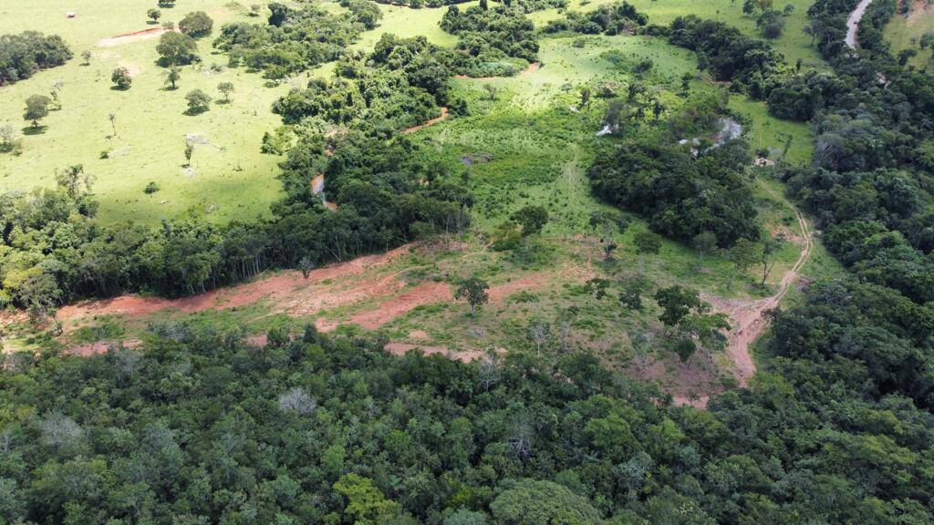 Fazenda no Município de Santa Cruz- GO. 8