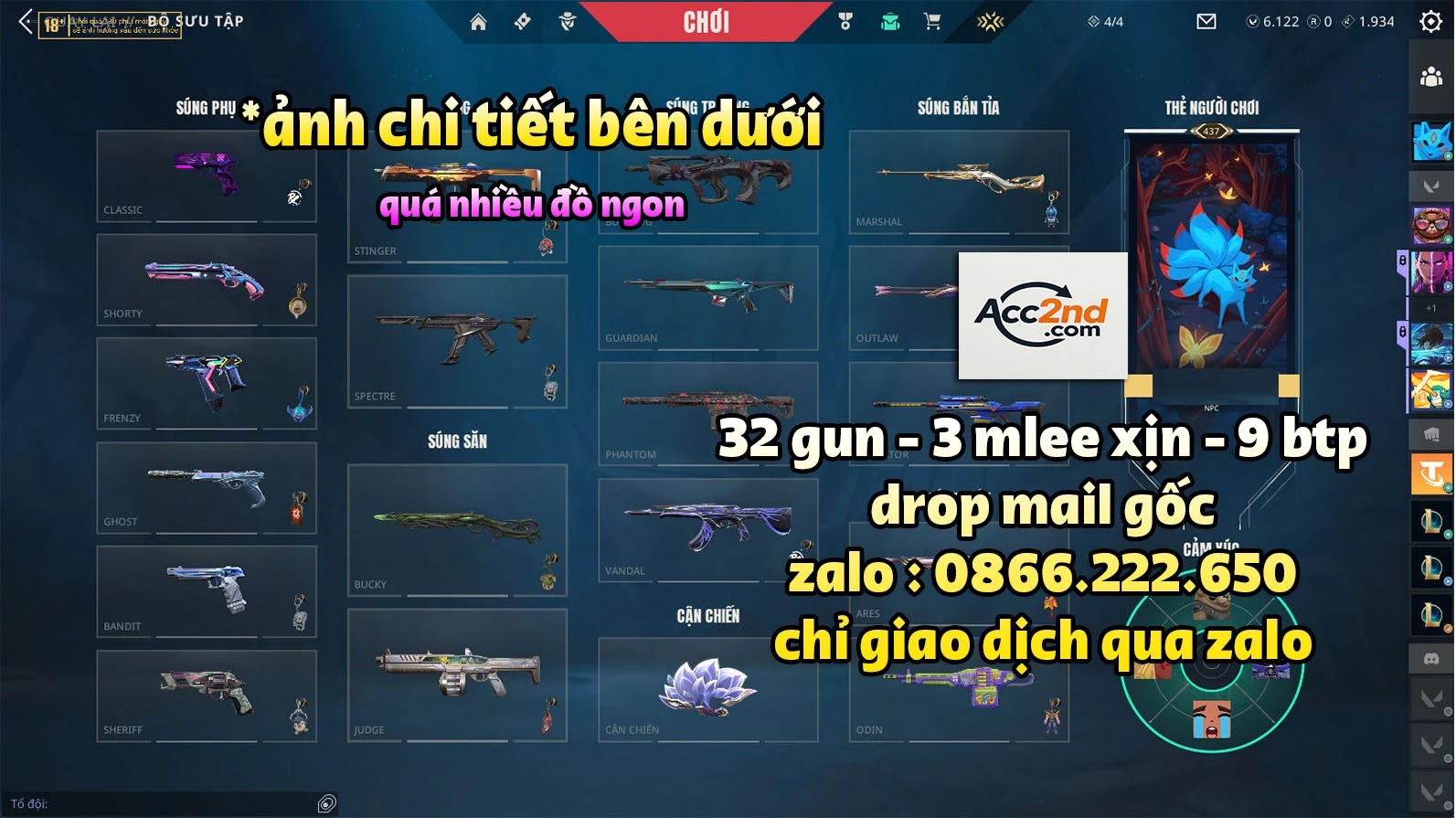 Account Preview
