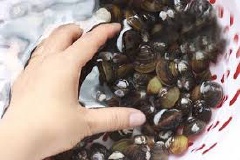Đổ hến vào chậu ngâm nước cho con hến há miệng ra, nhả hết bùn đất rồi đem rửa sạch.