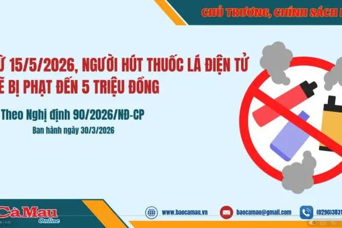 Từ 15/5/2026, người hút thuốc lá điện tử sẽ bị phạt đến 5 triệu đồng - Báo Cà Mau