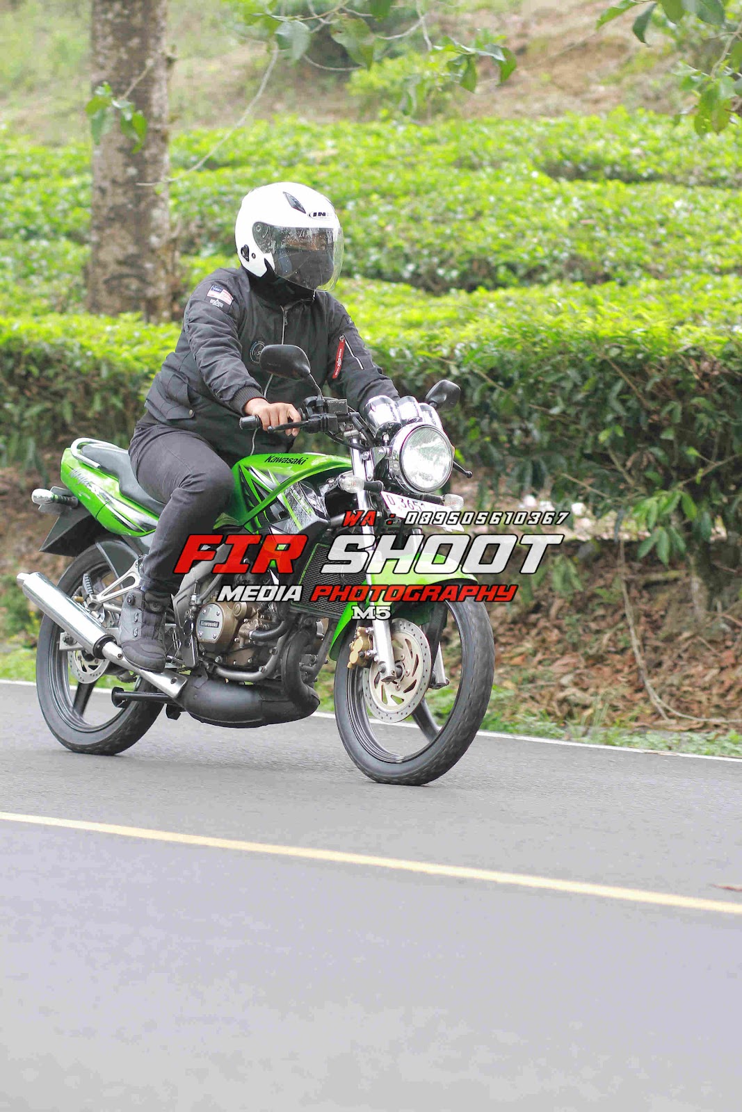 IMG_5271.jpg