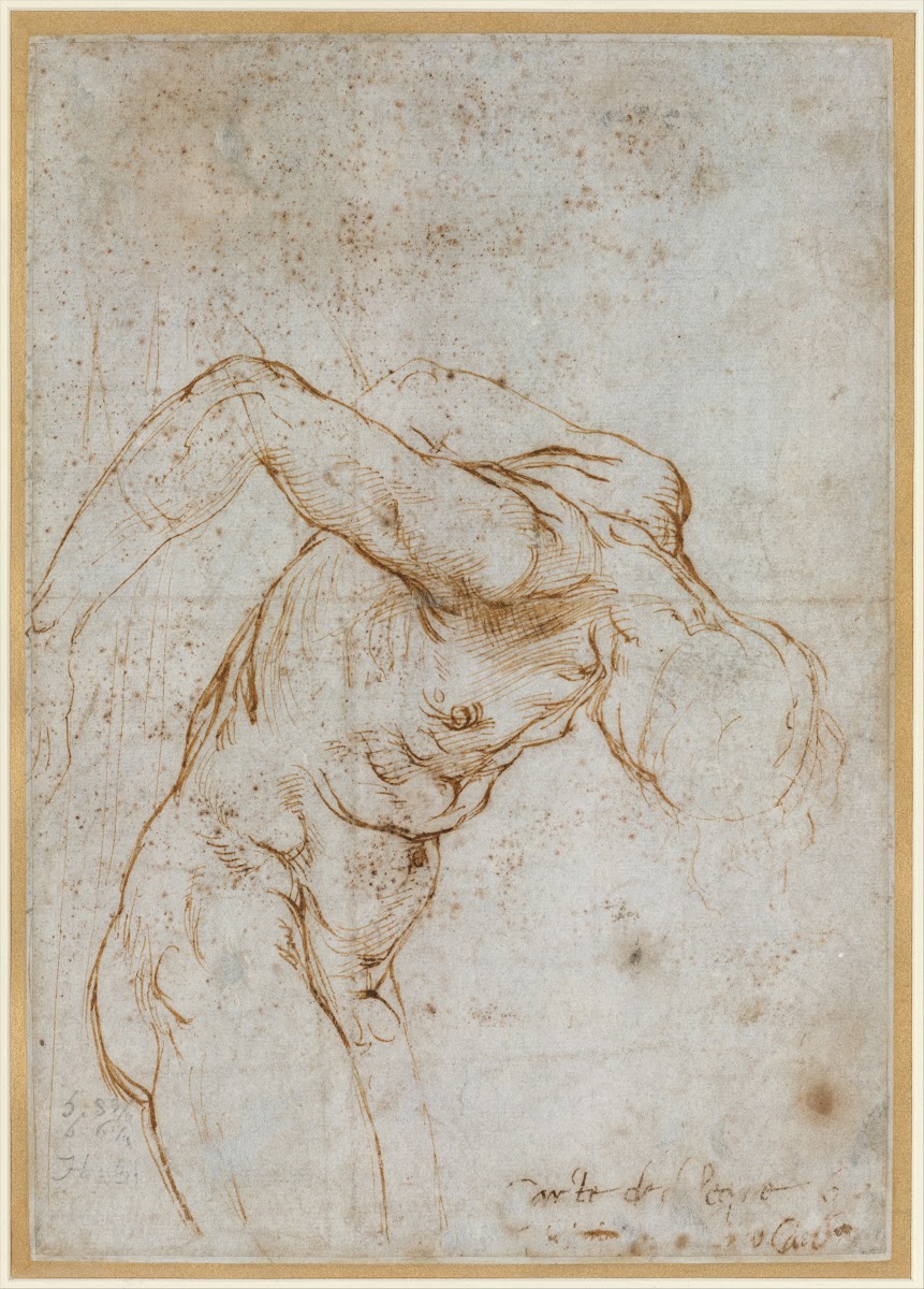 Study of a Nude Male Figure ca 15067