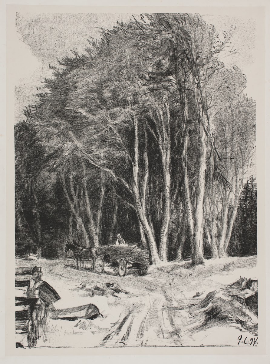 Skovhugst 1894