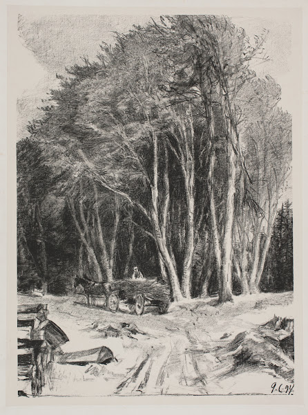 Skovhugst 1894