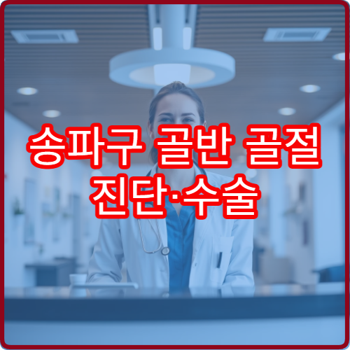 송파구 골반 골절 진단·수술 전문 병원과 치료 절차 안내