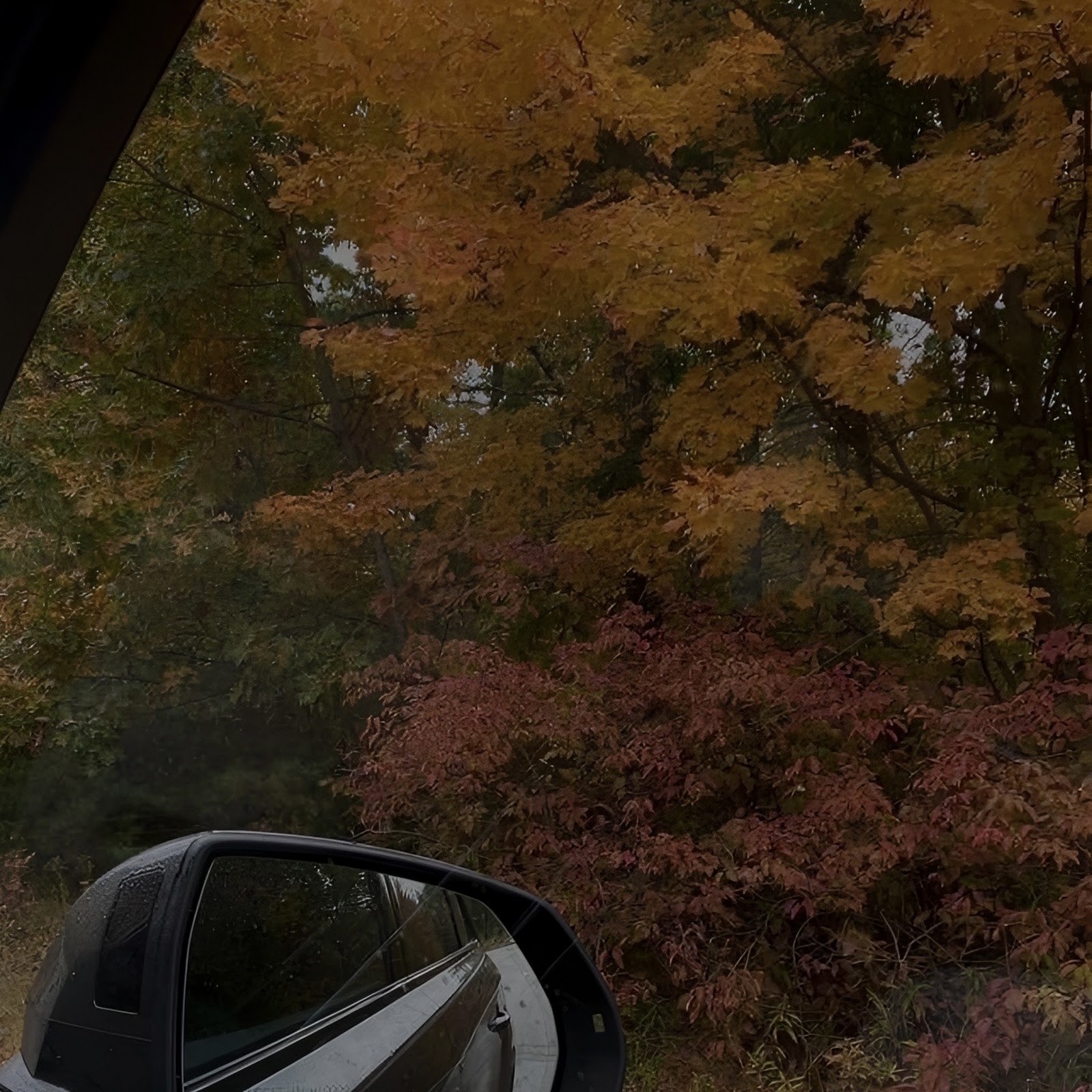 Download Autumn View From Car Window Full HD iPhone
