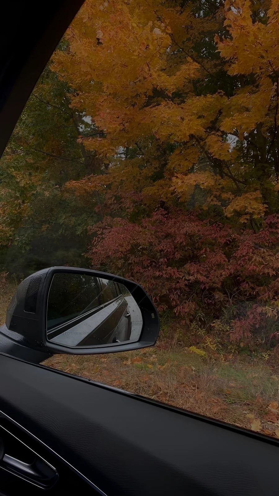 Autumn View From Car Window - Moody Photography Full HD iPhone Wallpaper (1286x2286)