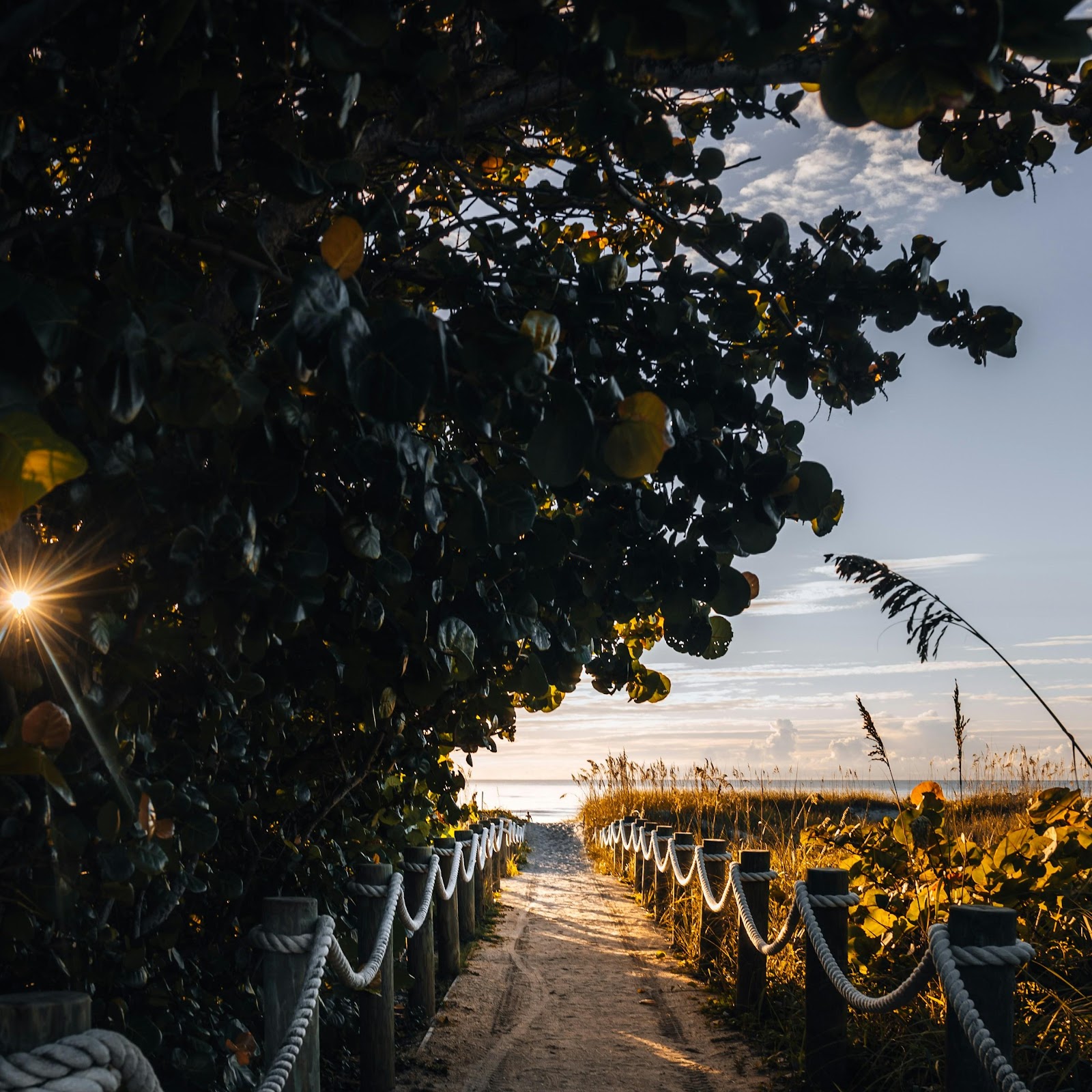 Download Sandy Path To The Ocean 4K iPhone