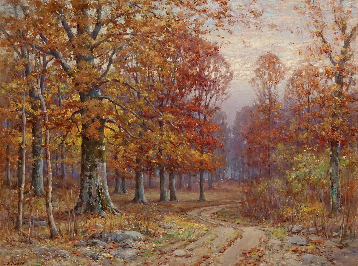 Woods Interior
