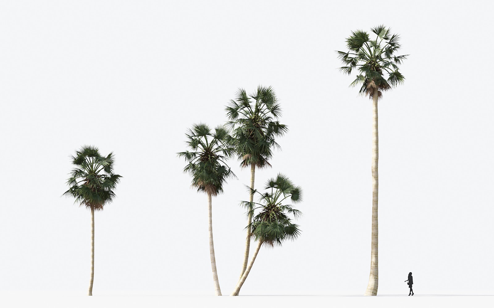 Maxtree - Plant Models Vol.15