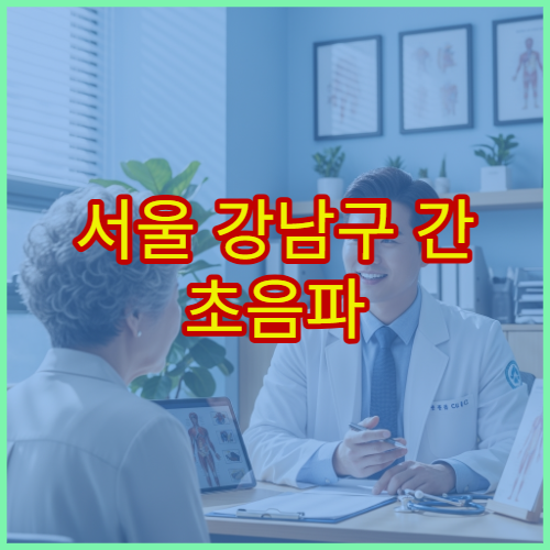 서울 강남구 간 초음파 이상 증상 검사 받을 수 있는 전문 병원