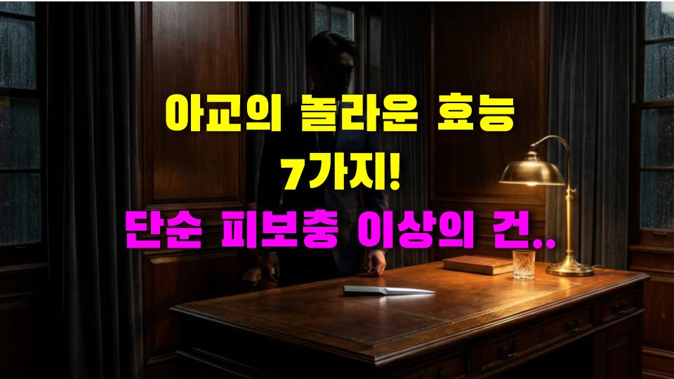 아교의 놀라운 효능 7가지! 단순 피보충 이상의 건강 비밀