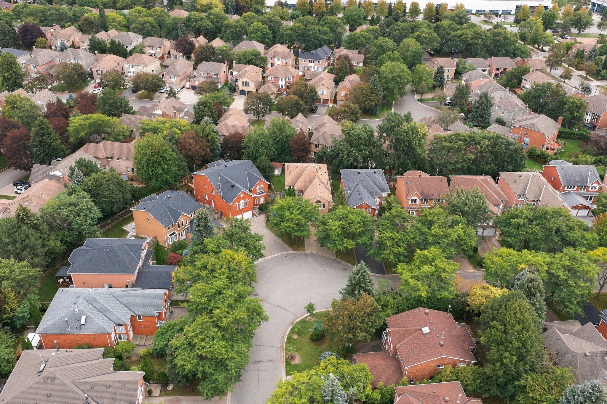 Aerial view of the court and the mature trees around it