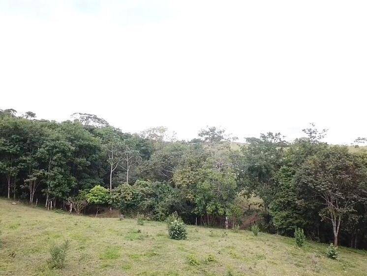 Chácara em Bela Vista de Goiás-GO 9