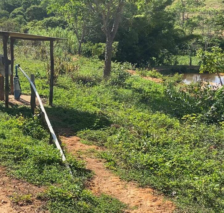 Fazenda no Município de Olhos D’água - MG 3