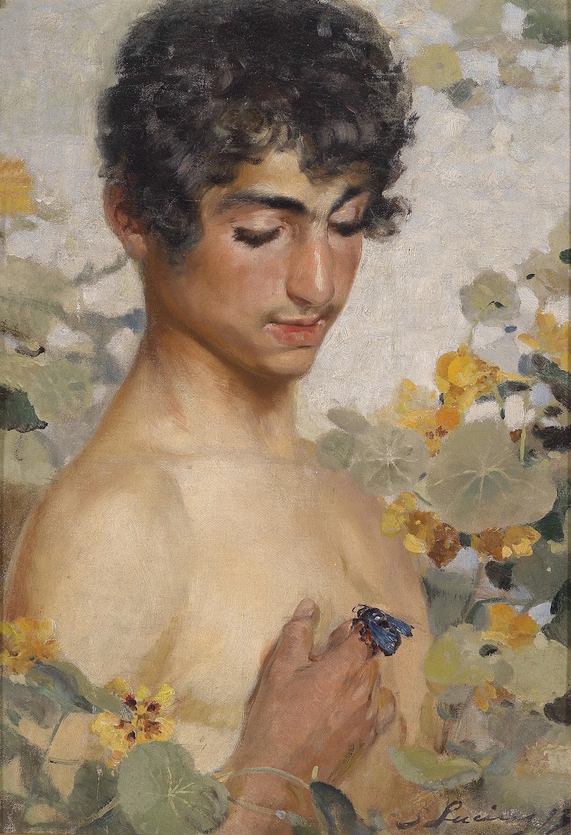 Die Hummel 1893