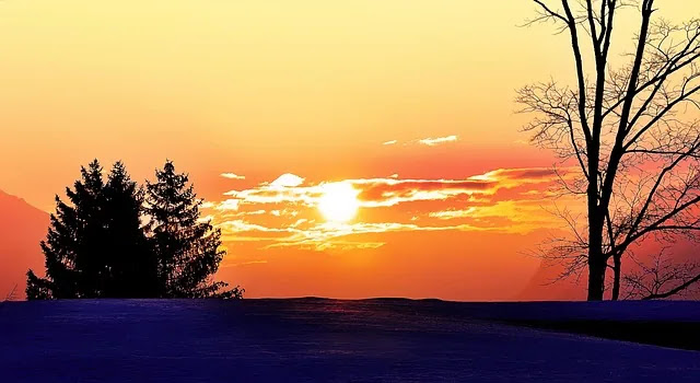 겨울만 되면 우울한 기분, 이유는 무엇일까?