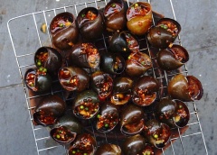 Cách làm ốc bươu nướng tiêu xanh: Chuẩn bị một bếp than, đặt ốc đã sơ chế lên vỉ nướng. Chờ cho ốc bốc hơi nóng thì lần lượt chang nước sốt tiêu xanh vào miệng ốc. Cho đến khi nước sốt trong ốc sôi lên và cạn bớt nước, sốt trong ốc keo lại, có mùi thơm nồng của tiêu xanh là được.
