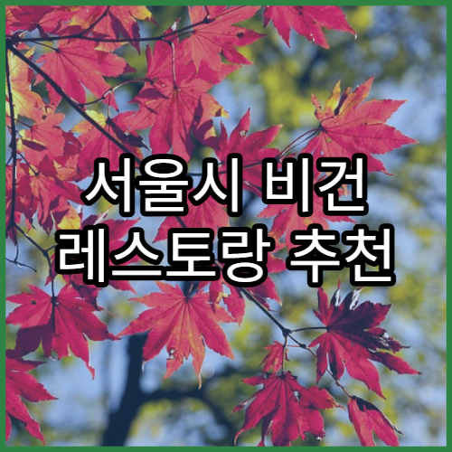 서울시 비건 레스토랑 추천 | 건강한 한 끼 즐기기