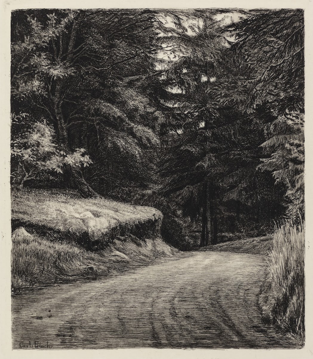 Vejen i Granskoven 1885