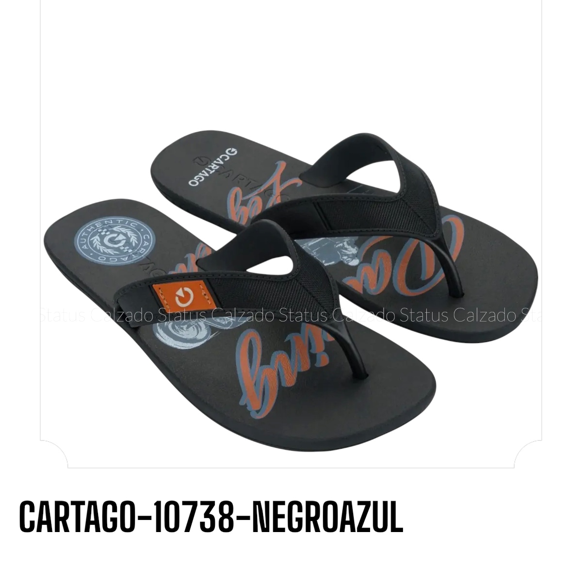 CARTAGO-10738-NEGROAZUL