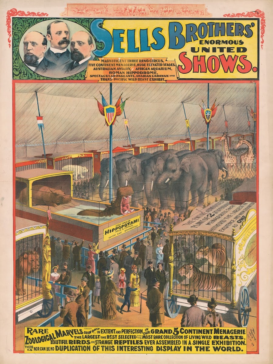 Sells Brothers enormous united showsRare zoological marvels  1895