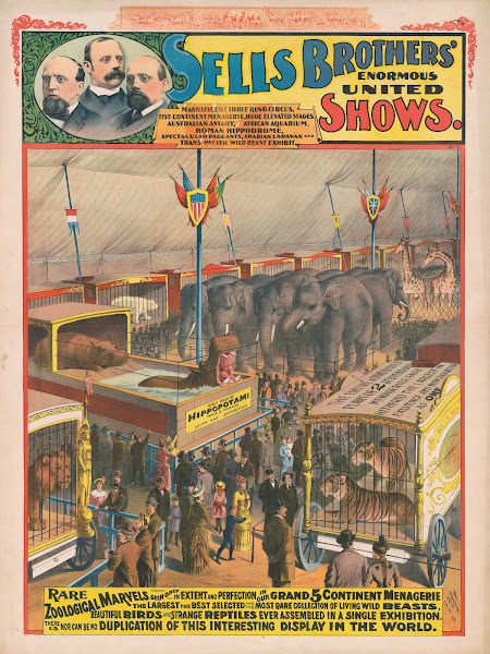 Sells Brothers enormous united showsRare zoological marvels  1895