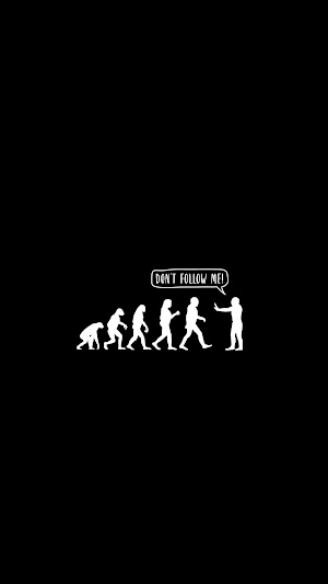 Human Evolution Picture