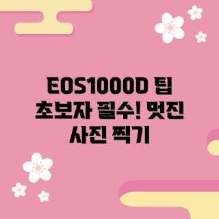 캐논EOS1000D, 초보자 사진 촬영, DSLR 초보, 기초 사진 팁, 캐논 카메라 사용법