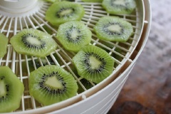 Gọt vỏ kiwi rồi cắt thành lát mỏng đều có độ dày khoảng 0.2-0.3cm. Có thể dùng dụng cụ cắt trứng để cắt các lát được đều. Xếp các lát kiwi lên máy sấy, bật 57 độ C (khoảng 135 độ F).