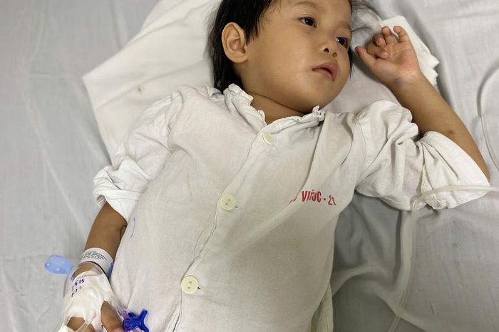 MS 1073: Hai mẹ con cùng mắc bệnh tan máu, bé gái 6 tuổi dân tộc cần gấp khoảng 10 triệu đồng phẫu thuật - Chuyên trang Gia Đình &amp; Xã Hội - Báo Sức khỏe &amp; Đời sống