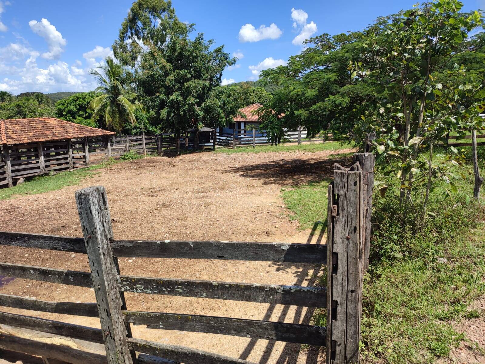 Fazenda em Uruana-GO 8