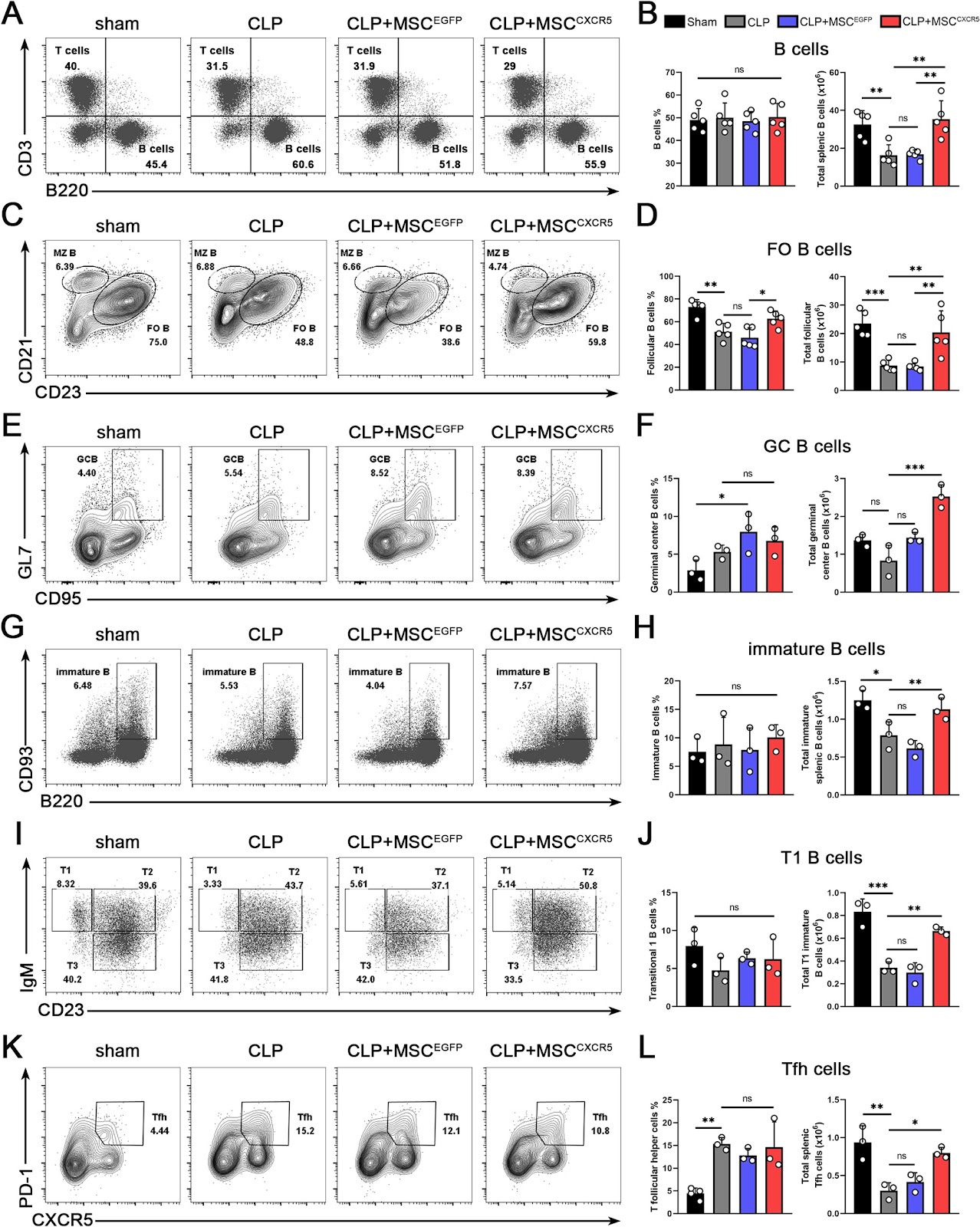 CXCR5-engineered mesenchymal stromal cells home to spleen and mitigate post-sepsis syndrome by preventing secondary infection