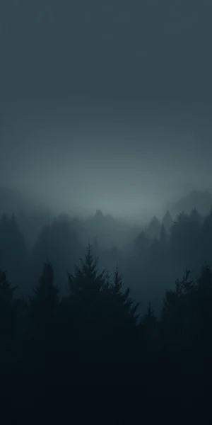 Misty Forest, Dark, Evergreen, Landscape Full HD iPhone Wallpaper Background