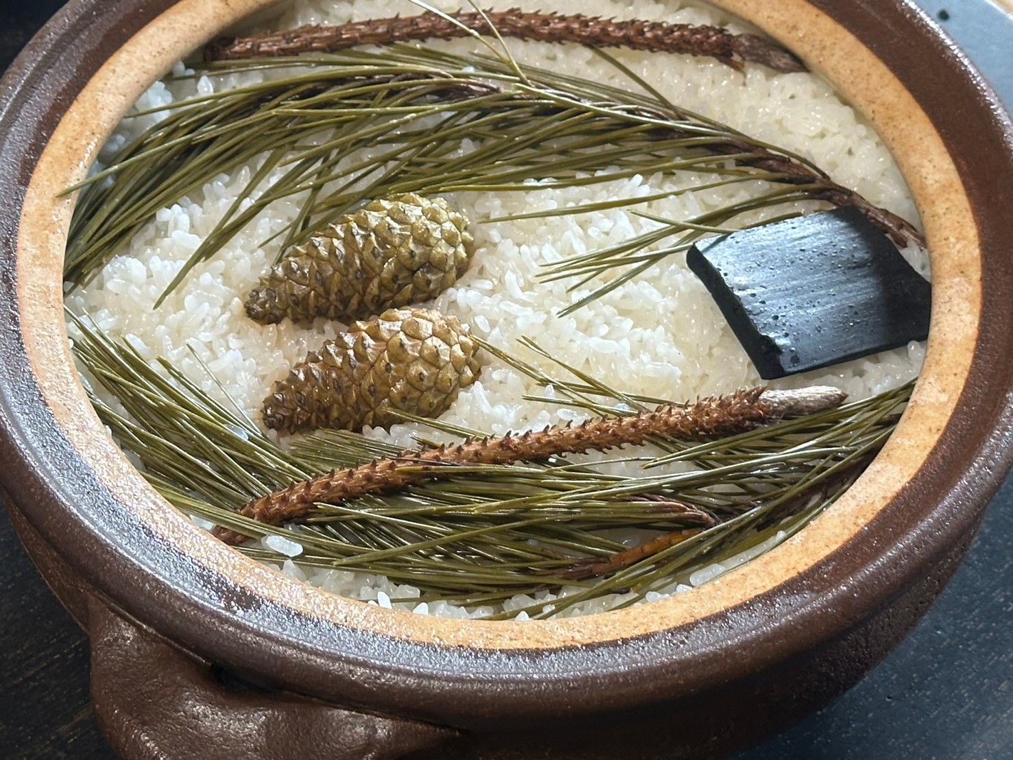 金井 美樹の画像３