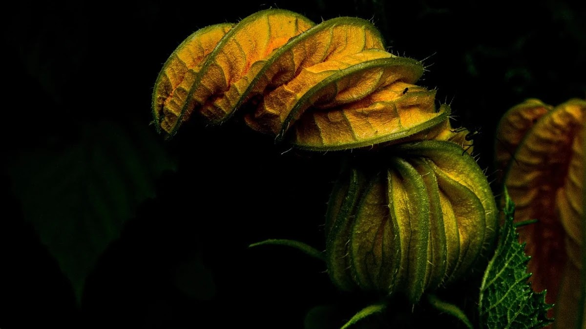 B2B IoT 솔루션 도입 전 필수 점검 사항과 비용 절감 전략