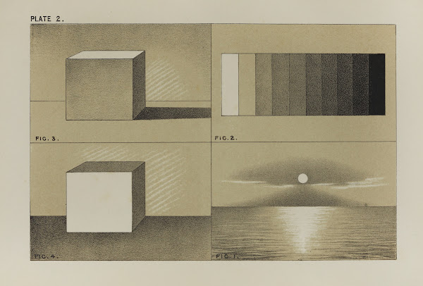 Handbook of light and shade with especial reference to model drawing Pl02 1880