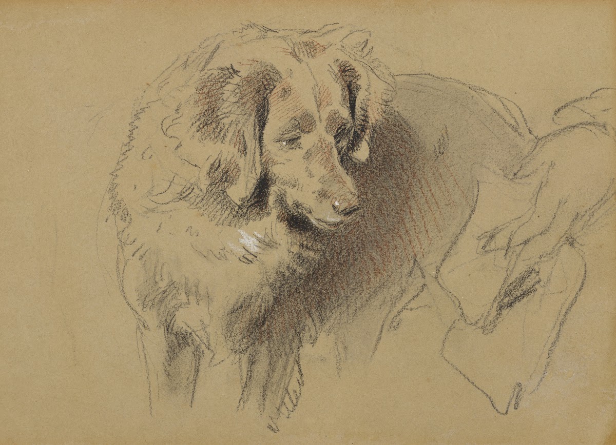 Study of a Dog 182073