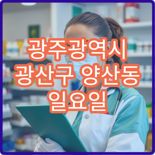 광주광역시 광산구 양산동 일요일 문 여는 약국 항히스타민제 상담 가능