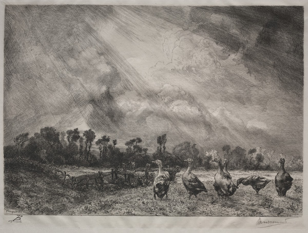 The Storm Cloud 18781887