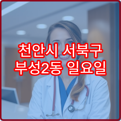 천안시 서북구 부성2동 일요일 안과 진료 병원 눈 시림 검사