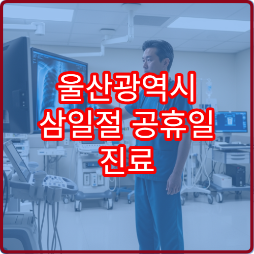 울산광역시 삼일절 공휴일 진료 병원 대체공휴일 문 여는 병원 알아보기