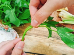 Rau lang nhặt lấy phần đọt và lá non, rửa sạch rồi để ráo. Sả bỏ vỏ già, gừng gọt vỏ, rửa sạch. Đập dập sả, cắt khúc, gừng cắt lát mỏng. Cà rốt gọt vỏ, rửa sạch. Dùng dao lượng song cắt cà rốt thành từng miếng cho đẹp. Đun một nồi nước, cho sả gừng và 1 muỗng cà phê hạt nêm vào nồi. Sò lông ở đây mình chọn loại đã hấp chín, khi chế biến rất dễ dàng không mất nhiều thời gian. Rửa lại sò lông cho thật sạch rồi để ráo.